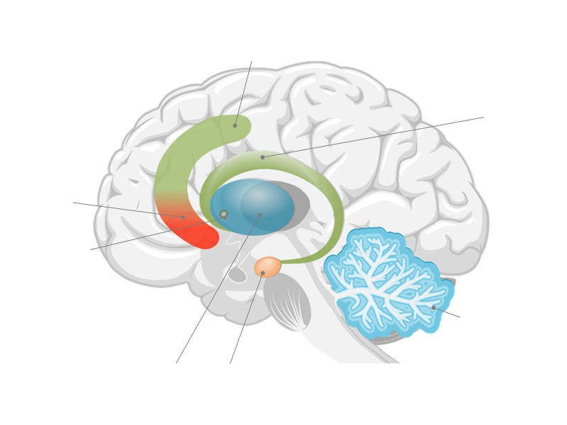 Synthèse clinique des troubles mnésiques dans le TSPT